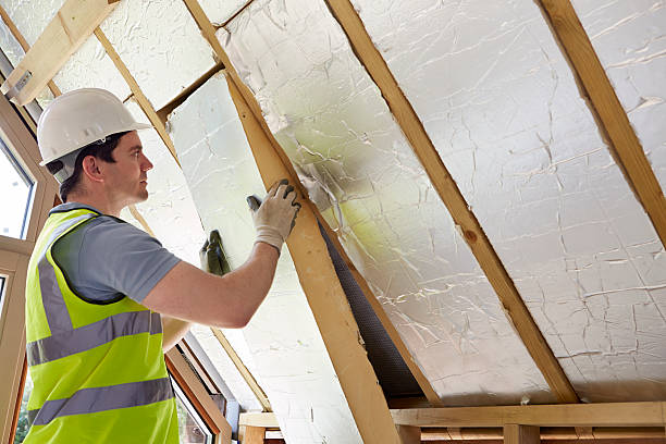 Best Types of Insulation in Brush Prairie, WA